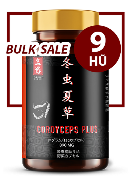 GIÁ SỈ WHOLESALE 9 HŨ - POWER CORDYCEPS PLUS 890MG