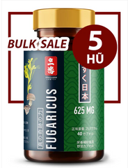 GIÁ SỈ BULK SALE 5 HŨ - FUGARICUS 625MG (40 CAPSULES)