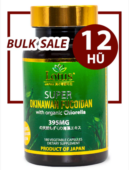 GIÁ SỈ BULK SALE 12 HŨ - SUPER OKINAWA FUCOIDAN 395MG