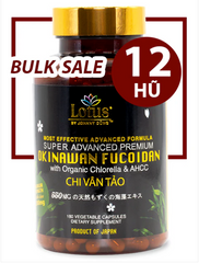 GIÁ SỈ BULK SALE 12 HŨ - SUPER ADVANCED FUCOIDAN SHIITAKE 550MG