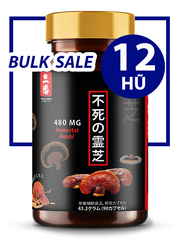 BULK SALE 12 HŨ - NANO RED REISHI LINH CHI ĐỎ NHẬT BẢN