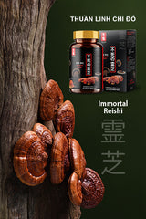 BULK SALE 12 HŨ - NANO RED REISHI LINH CHI ĐỎ NHẬT BẢN